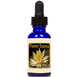 Pegasus® Blütenessenz 30ml - Lotus