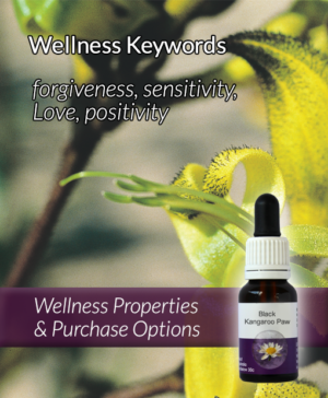 Living Essences® BLACK KANGAROO PAW 15ml