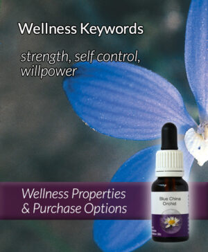 Living Essences® BLUE CHINA ORCHID 15ml
