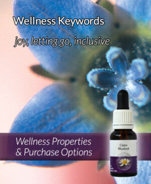 Living Essences® CAPE BLUEBELL 15ml