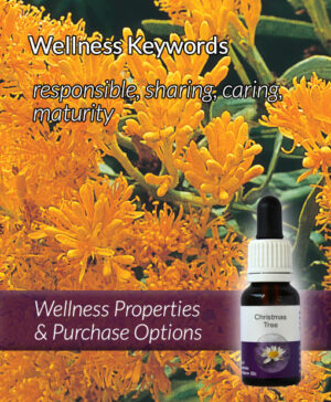 Living Essences® CHRISTMAS TREE 15ml