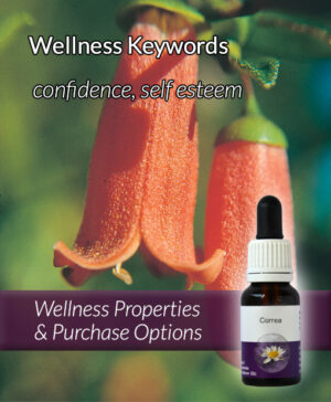 Living Essences® CORREA 15ml
