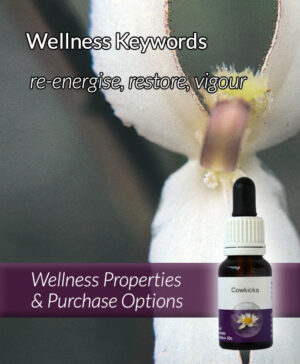 Living Essences® COWKICKS 15ml