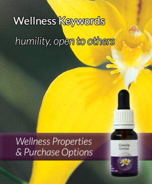 Living Essences® COWSLIP ORCHID 15ml
