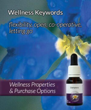 Living Essences® DAMPIERA 15ml