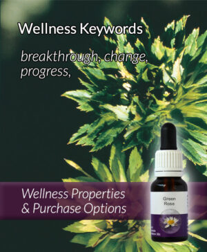 Living Essences® GREEN ROSE 15ml
