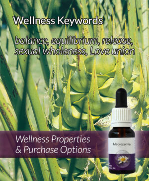 Living Essences® MACROZAMIA 15ml
