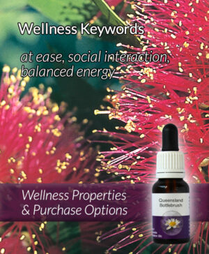 Living Essences® QUEENSLAND BOTTLEBRUSH 15ml