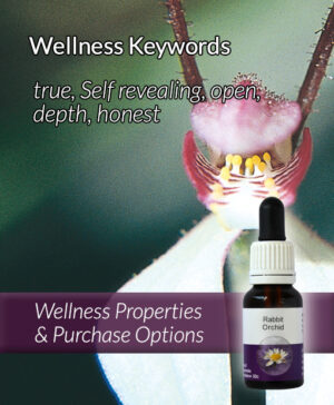 Living Essences® RABBIT ORCHID 15ml