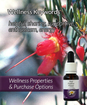 Living Essences® RED FEATHER FLOWER 15ml