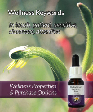 Living Essences® RED & GREEN KANGAROO PAW 15ml