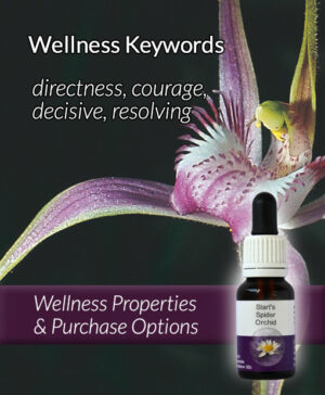 Living Essences® START'S SPIDER ORCHID 15ml