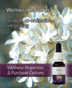 Living Essences® URSINIA 15ml