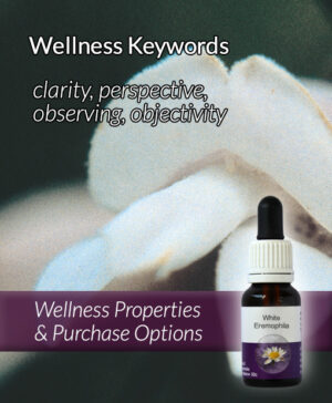 Living Essences® WHITE EREMOPHILA 15ml