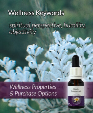 Living Essences® WOOLY SMOKEBUSH 15ml