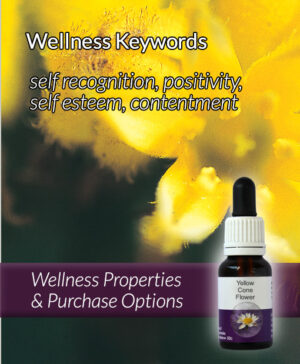 Living Essences® YELLOW CONE FLOWER 15ml