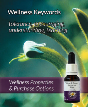 Living Essences® YELLOW & GREEN KANGAROO PAW 15ml