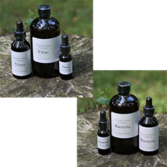 PERELANDRA® Bakterien Lösung 14ml