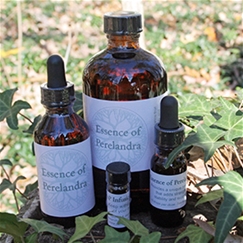 PERELANDRA® ESSENCE OF PERLANDRA/EOP 59.1ml