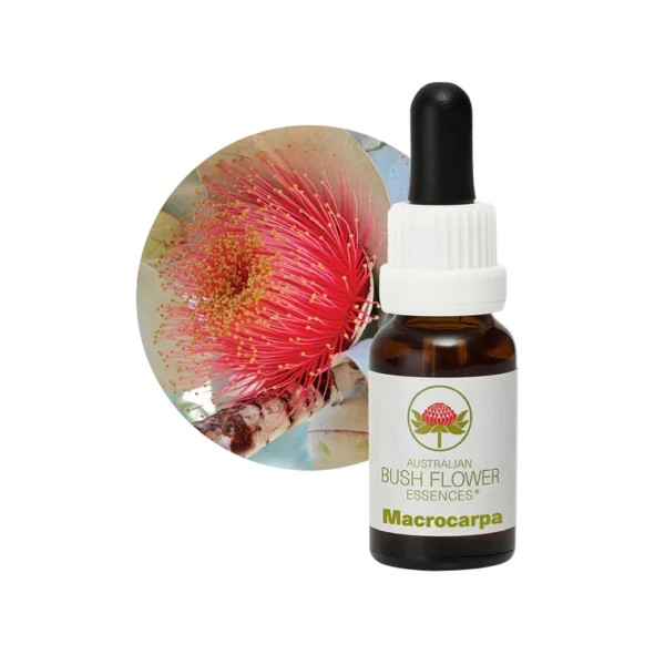 AU Macrocarpa, 15ml