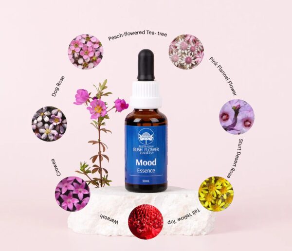 AUFO Mood, 30ml – Bild 2